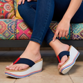 Bellos zapatos de plataforma con colores azul, blanco y rojo