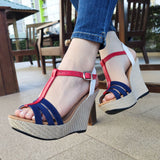 Zapato Combinado. Plataforma Zapatos Altos